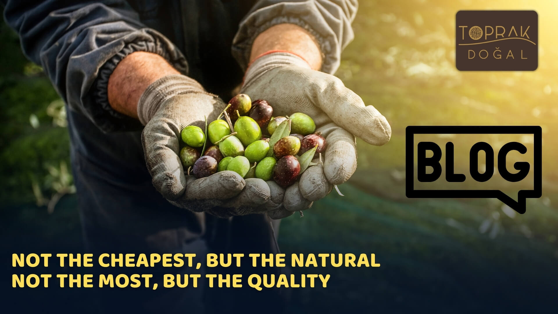 Access to Healthy Food and the Assurance of Toprak Doğal