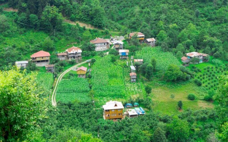 Macahel Balı ve Toprak Doğal